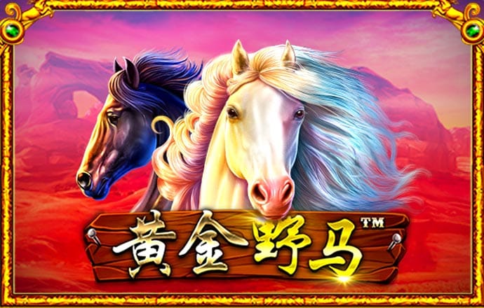 大发彩票app657