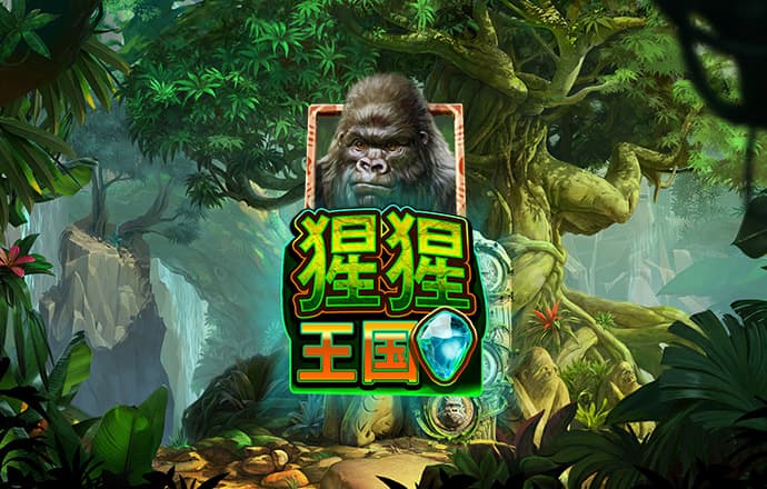 龙物网站永不失联